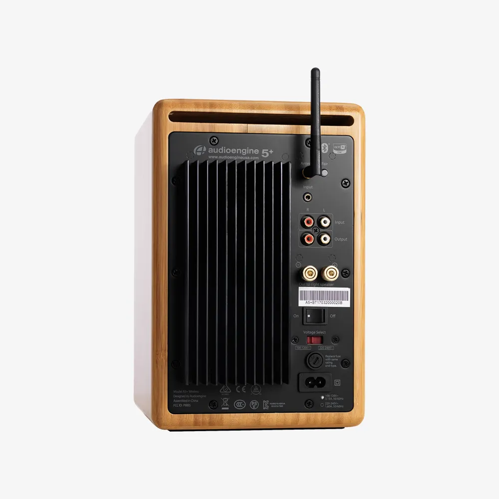 A5  Wireless Powered Speaker
