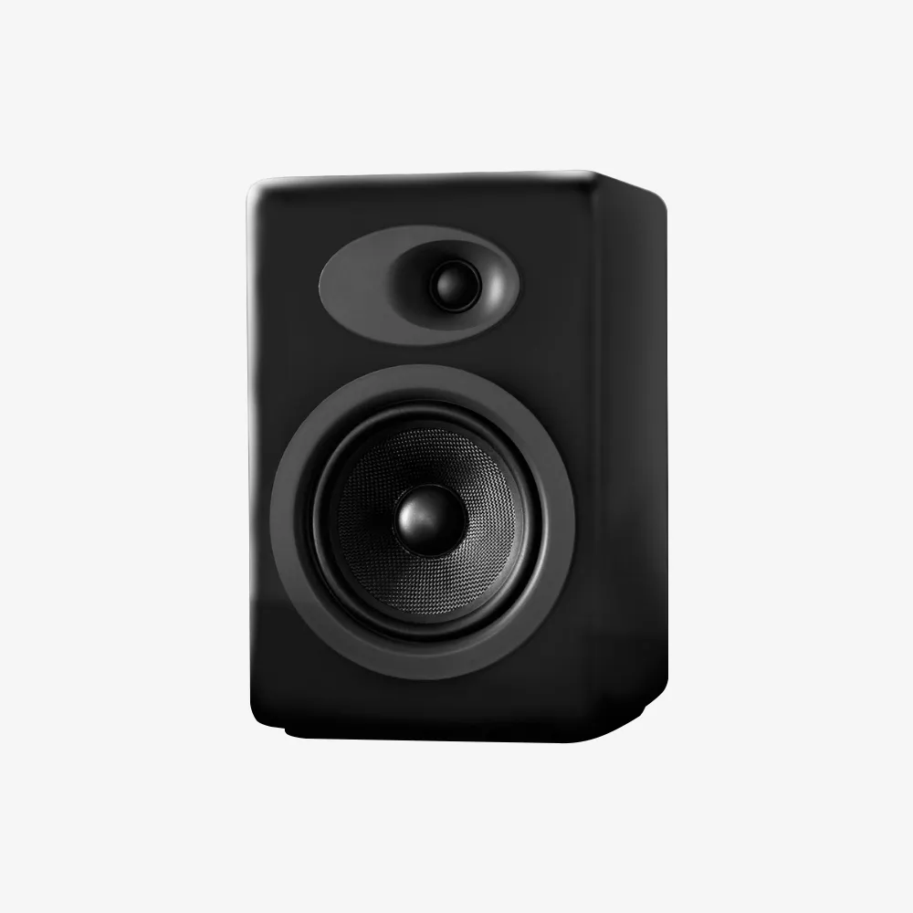 A5  Wireless Powered Speaker