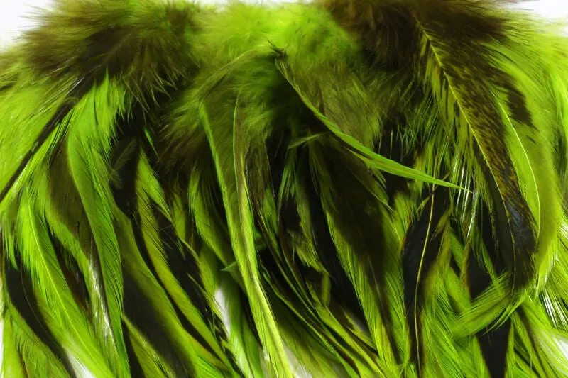 Badger Saddle Hackle - Hareline