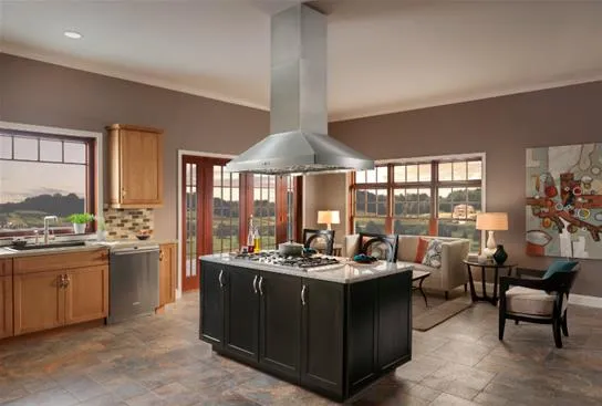 Best Range Hoods IPP9E42SB Ipp9 - 42" X 30" Stainless Steel Island Range Hood With A Choice Of External Or In-Line Blowers