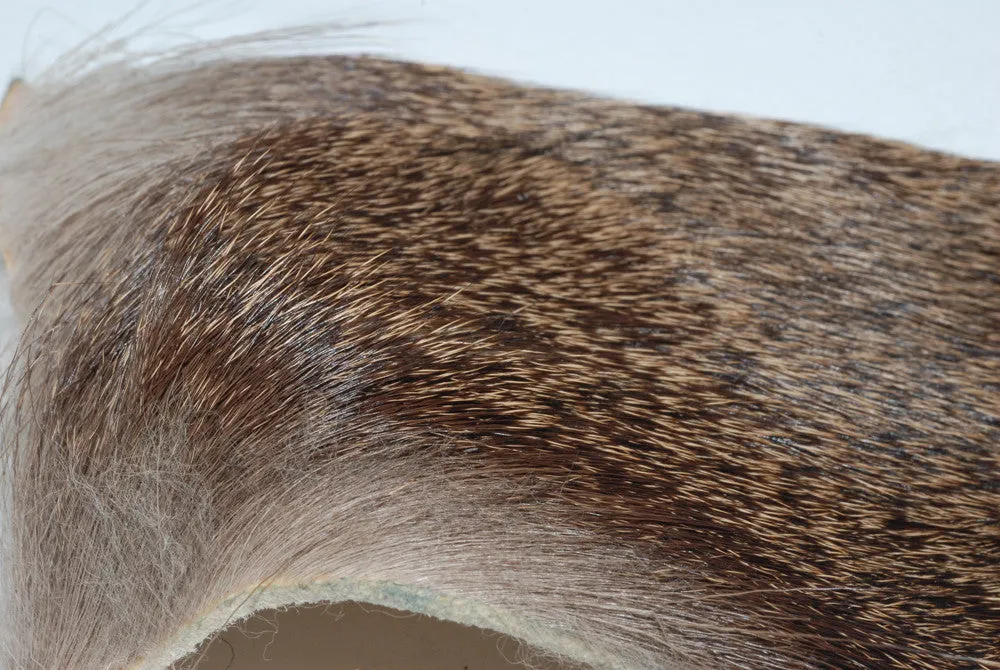 Deer Hair