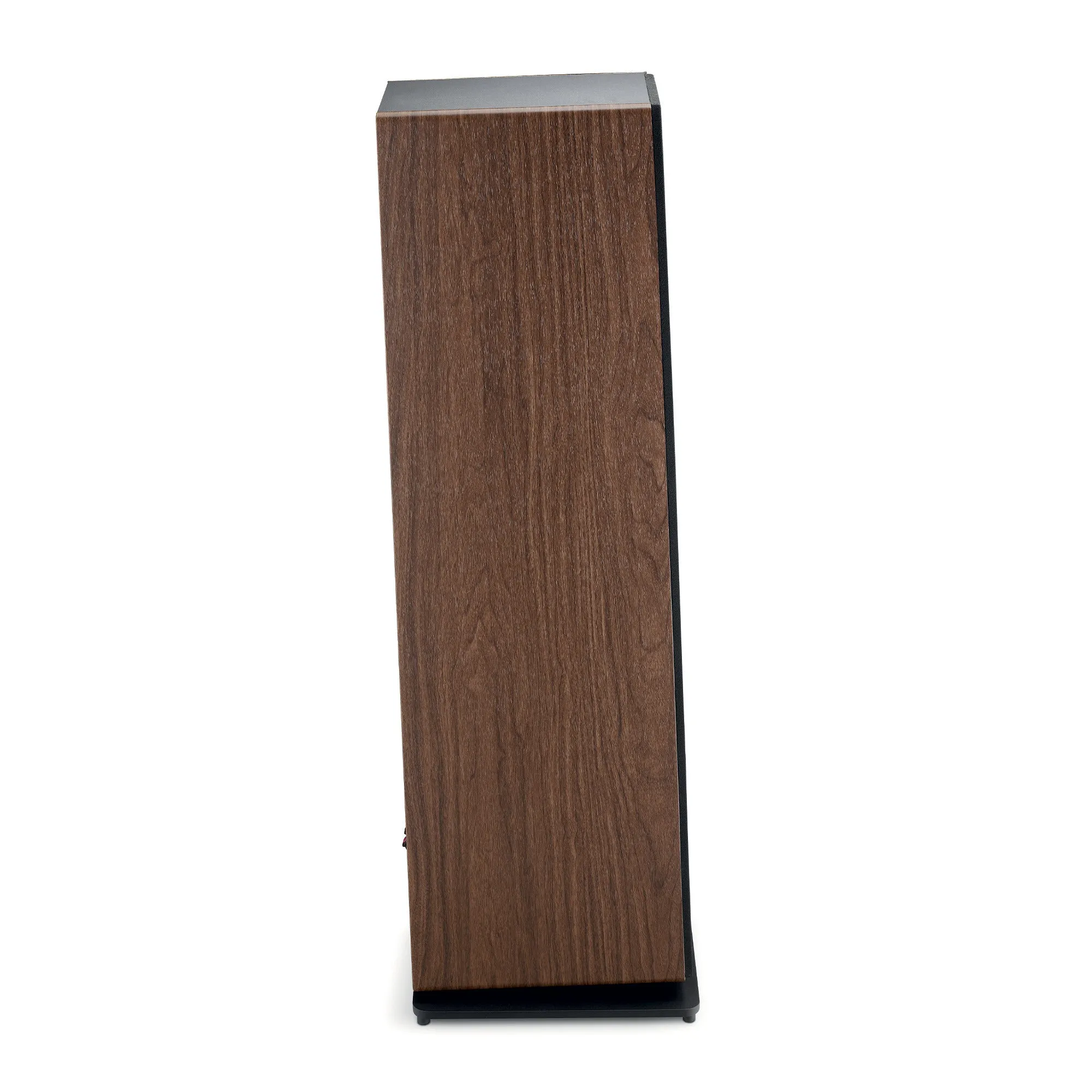 Focal FOAESFLON30O400 Vestia N3 Surround Sound Speaker (Dark Wood)
