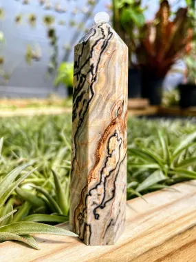 Map Jasper Crystal Point