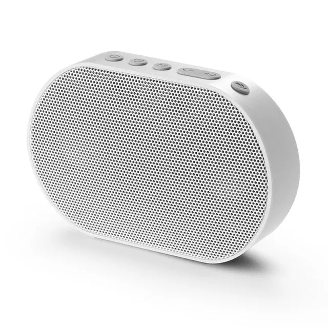 Portable Bluetooth Speaker Wireless WI-FI Speaker 10W Up to 14 Hours Playing with Amazon Alexa Multi-romm Play Speakers