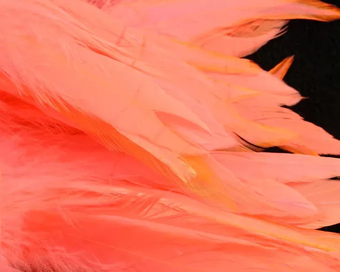Schlappen Hackle 5-7"--Hareline