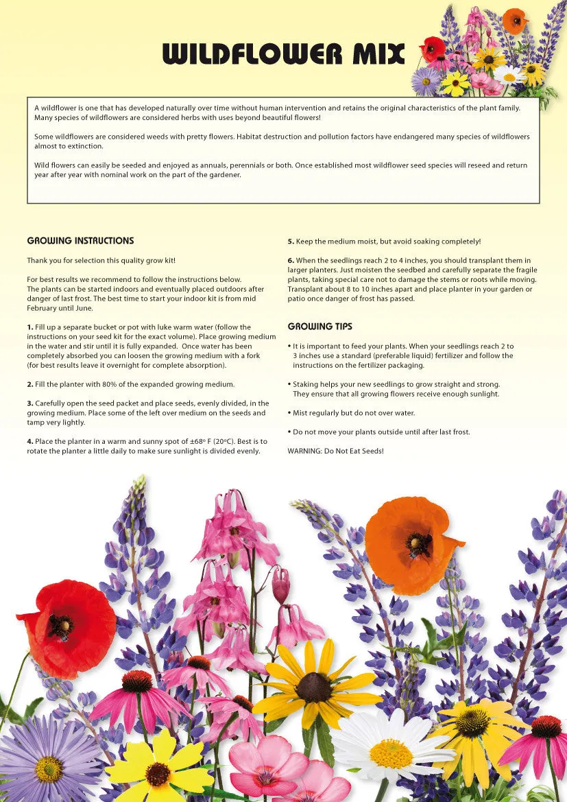 Seed Kits Flowers