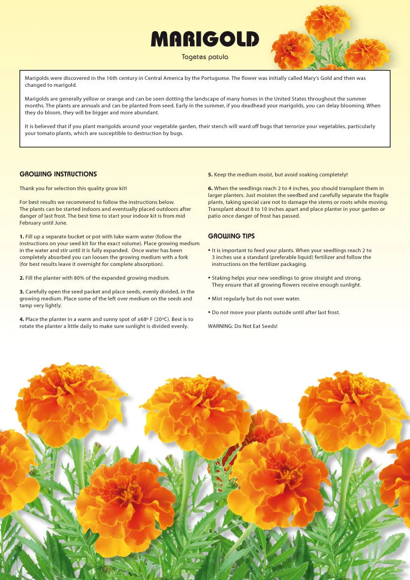 Seed Kits Flowers