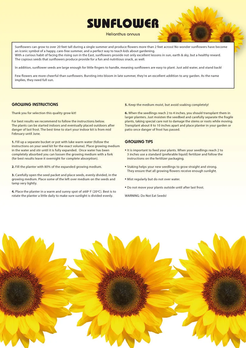 Seed Kits Flowers
