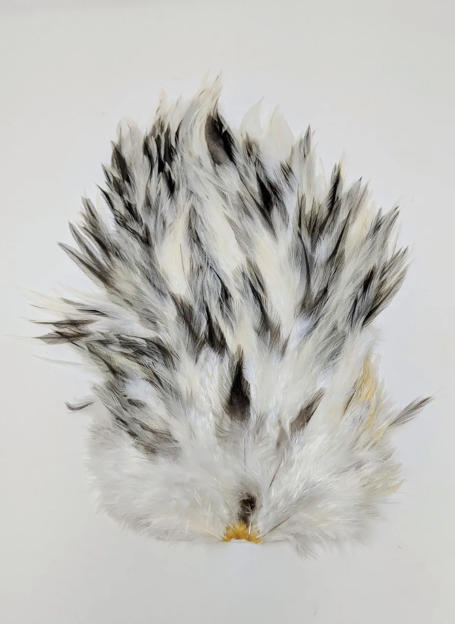 Whiting 4 B Rooster Saddle