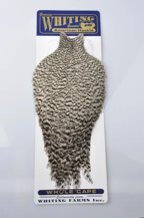 Whiting American Hackle - Cape