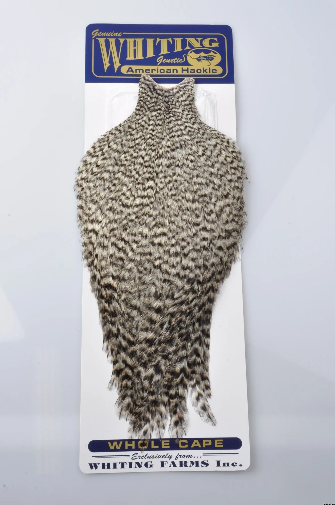 Whiting American Hackle - Cape