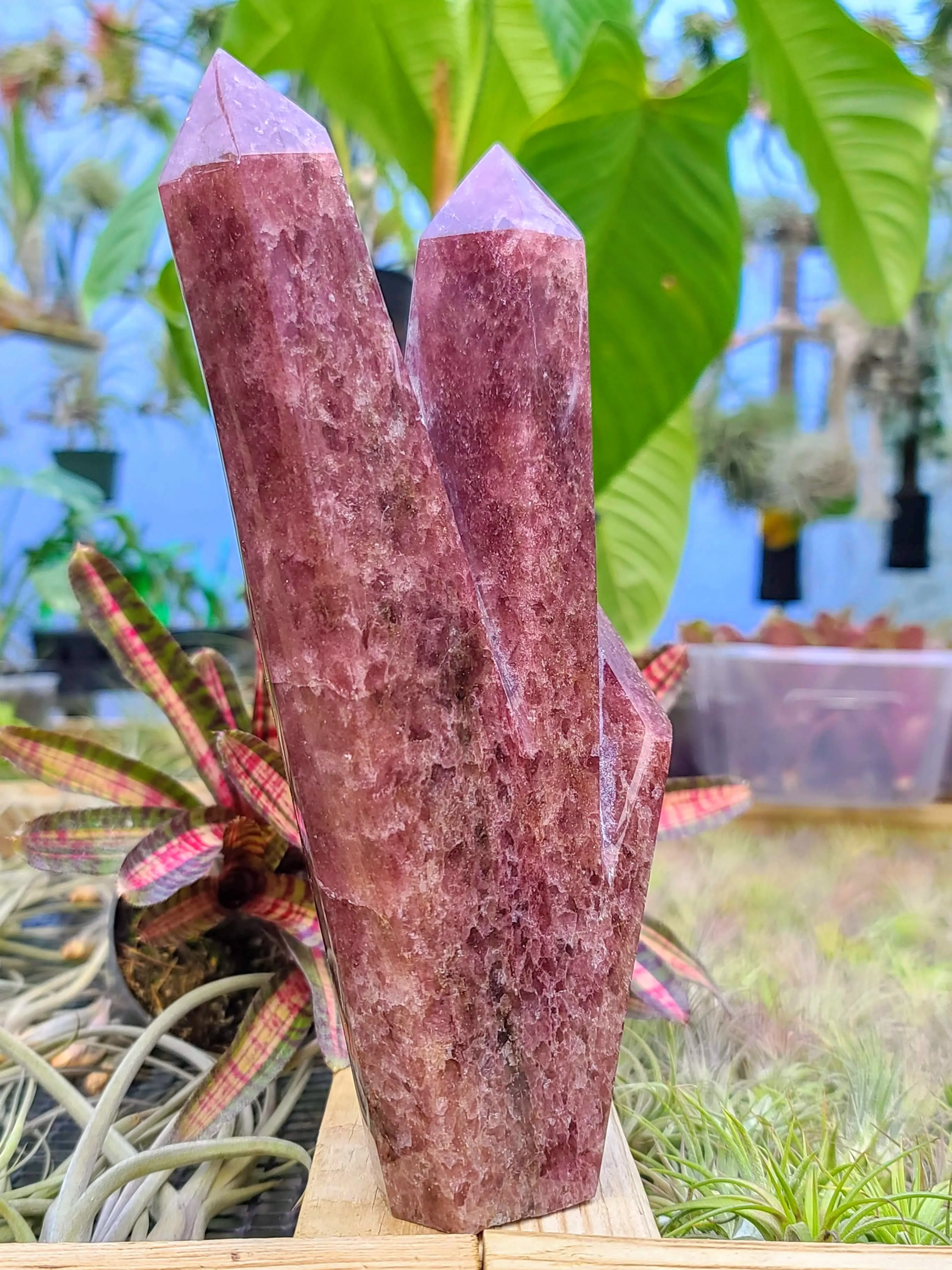 WYSIWYG- Strawberry Quartz Triple Point Tower